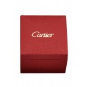 Copy Cartier Watch Case Watch