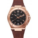 Luxury Replica Swiss IWC Big Ingenieur 7-Day Power Reserve Black Dial Rose Gold Case Brown Leather Bracelet 1453921