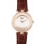 Best Chopard Luxury Replica Watch cp88 801365